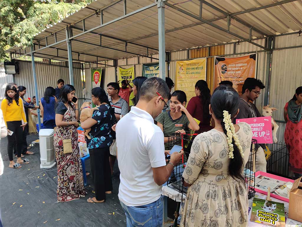 iAdopt volunteers and adopters at a Chennai adoption drive