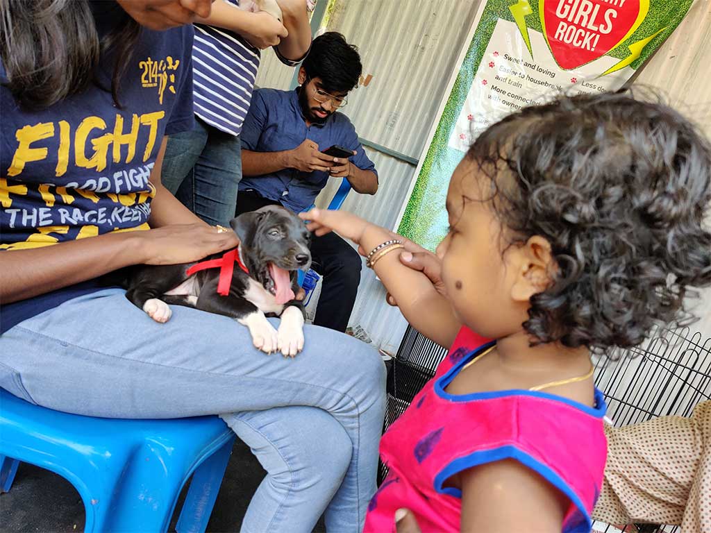 An iAdopt volunteer introducing a rescued puppy to a child at an adoption drive