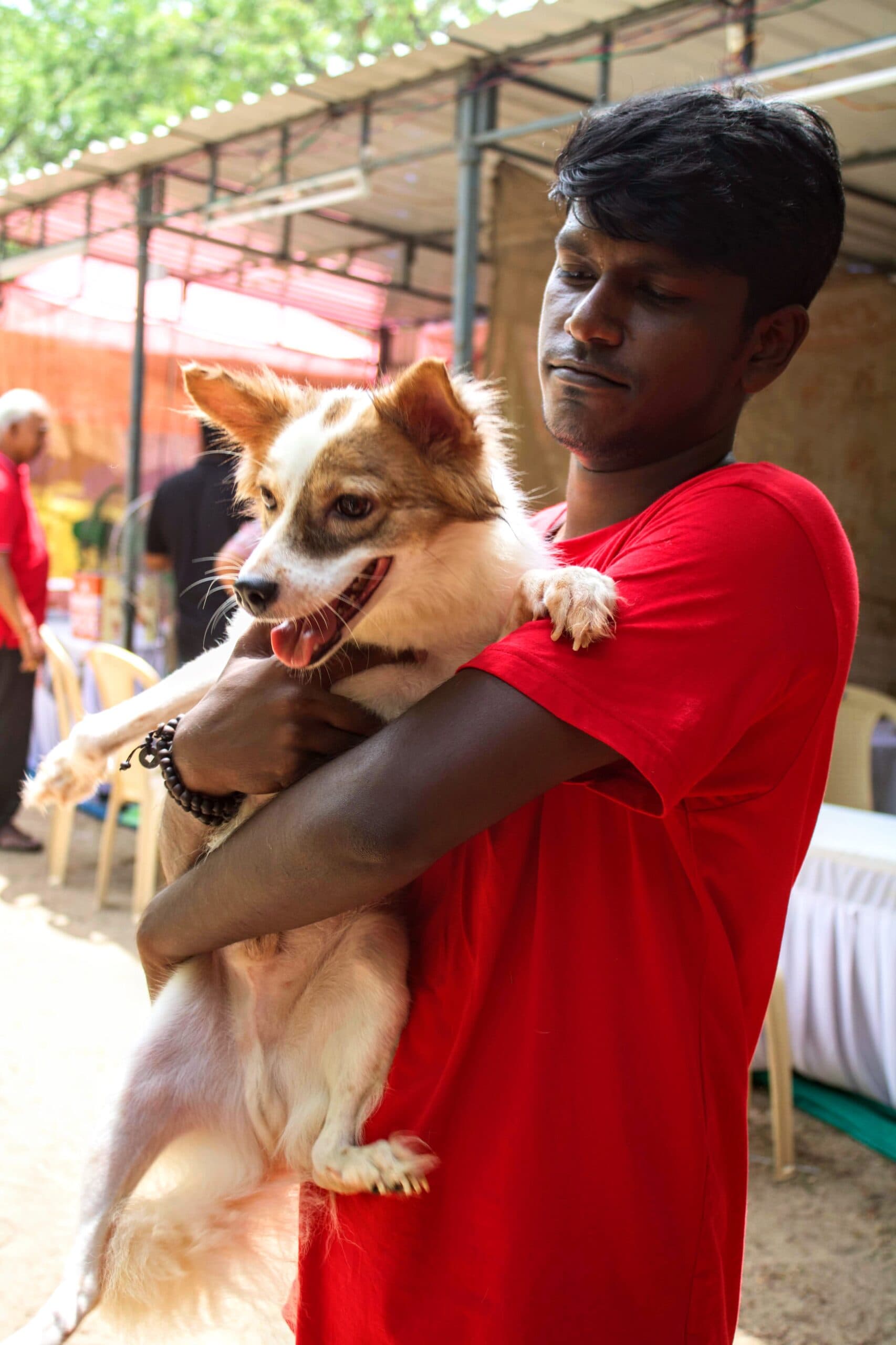 An iAdopt volunteer carrying a rescued indie dog