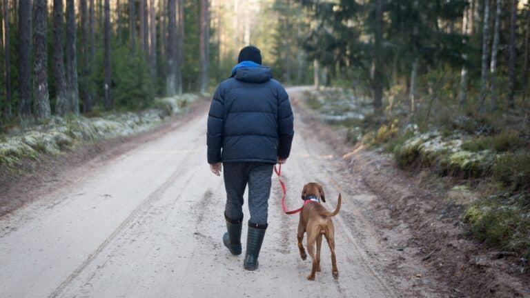 man walking a brown dog